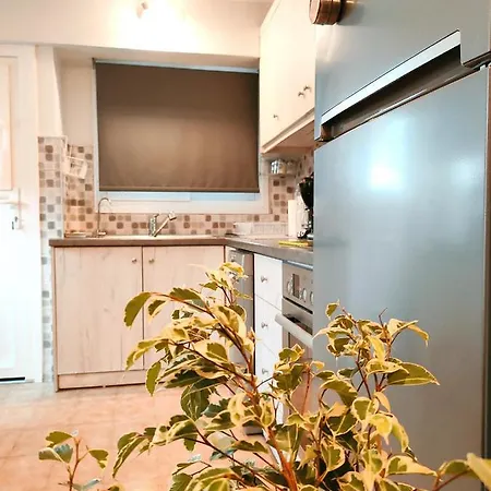 Zika's House * Κανάλι
