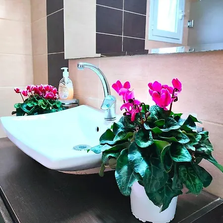 Apartamento Zika's House