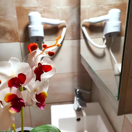 Apartamento Zika's House