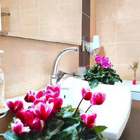 Zika's House * Kanálion