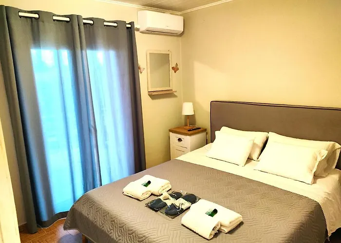 Zika's House 아파트