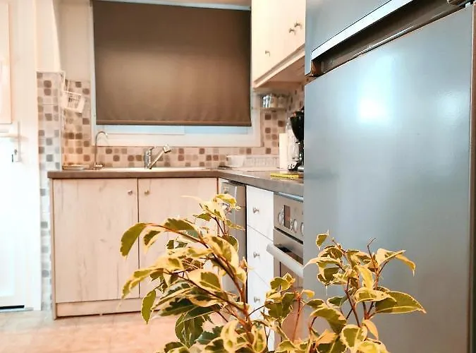Zika's House * Kanálion