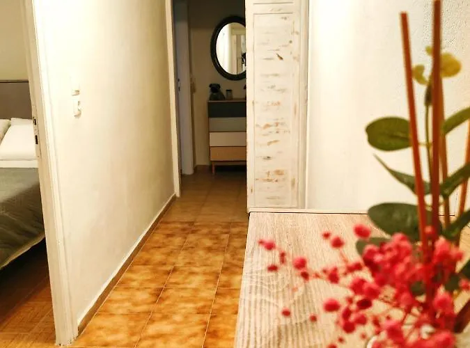 Zika's House
